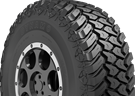 Dynamo Hiscend-H MMT01 tyres