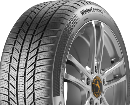 Continental Winter Contact TS870P 325/40 R22 114V Tyres